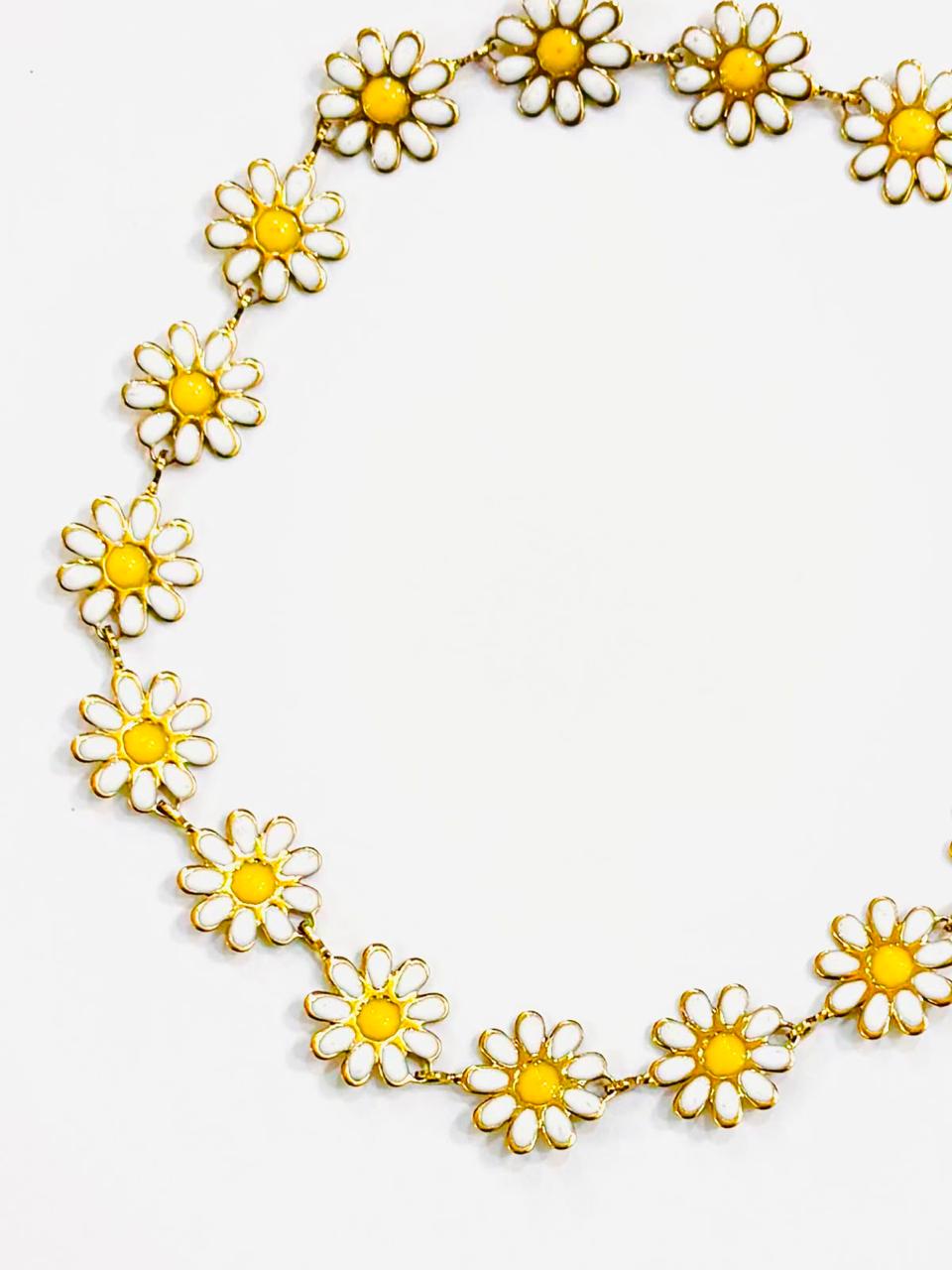 white daisy