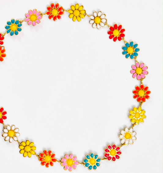 Multi Color daisy